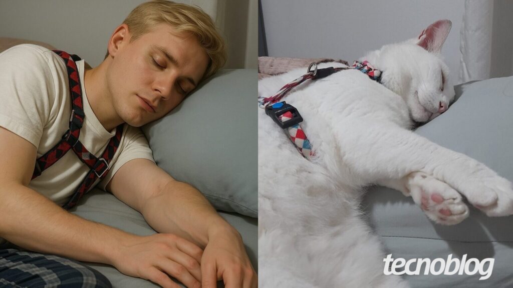 ChatGPT bomba com prompt para transformar animais em humanos • Tecnoblog