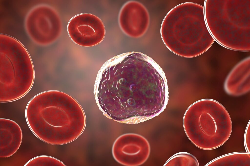 Estudo cria abordagem mais potente contra câncer no sangue